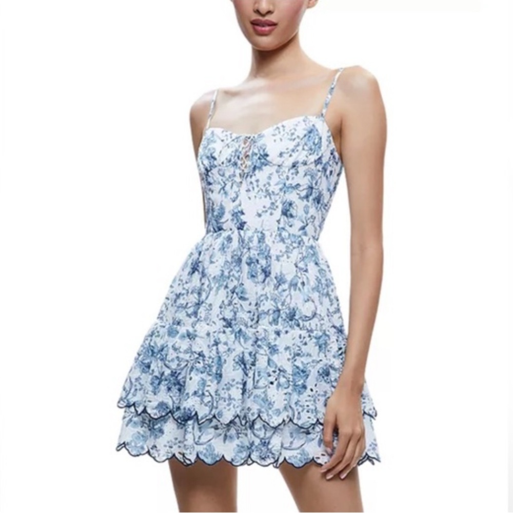 Alice and Olivia mini eyelet dress